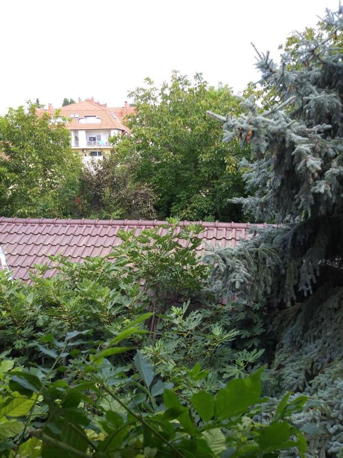 Hotel Balogh Vendeghaz Szegedin Exterior foto